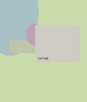 lortab side affect