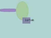 lortab 10